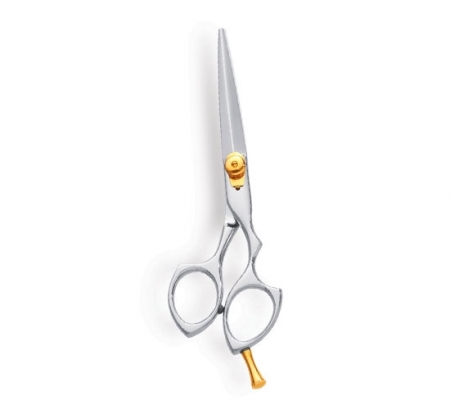 Professional Hair Cutting Scissor